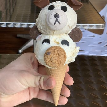 Eli's Ark - Dog and bear - Gelato Near Me - Chicago, Illinois Eli's Ark - Dog and bear - Gelato Near Me - Chicago, Illinois