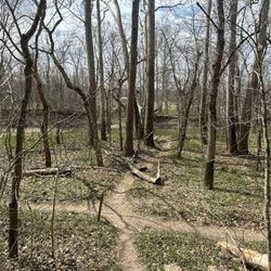 Serpent Mound - Nature walk