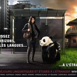 EF Education séjour linguistique