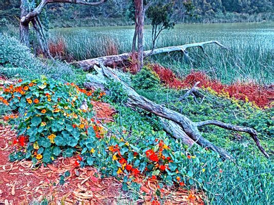 Lake Merced Park by null