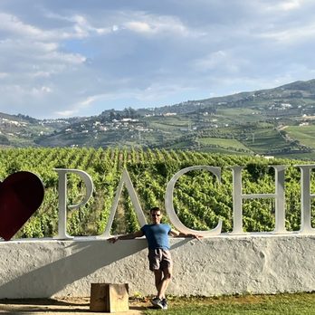 Quinta da Pacheca - What's not to love? - Wineries Near Me - Lamego, 18