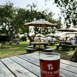 The Flower Pots Inn - A pint of bitter in the beer garden