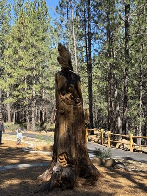 High Desert Museum by null