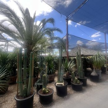 Hurley's Nursery - Nurseries & Gardening Near Me - Las Vegas, Nevada