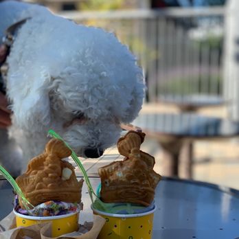 Somisomi - Which one - Desserts Near Me - Cupertino, California