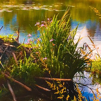 William O'Brien State Park - Parks Near Me - Marine on Saint Croix, Minnesota