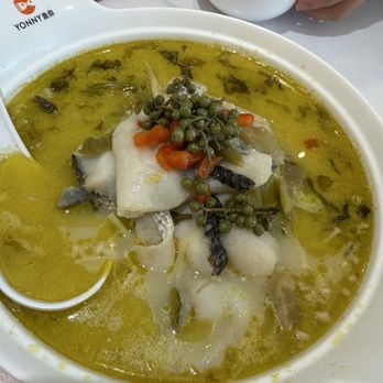 Yonny - Chinese Near Me - Irvine, California Yonny - Chinese Near Me - Irvine, California