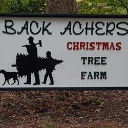 Back Achers Christmas Tree Farm