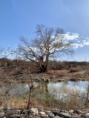 Montezuma Castle National Monument by null
