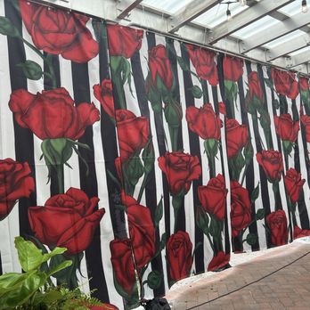 Maxine's On Shine - Wall of roses on the patio - New American Near Me - Orlando, Florida Maxine's On Shine - Wall of roses on the patio - New American Near Me - Orlando, Florida