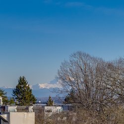 Michelle Harrison - Royal LePage - View of Mount Baker during the winter months