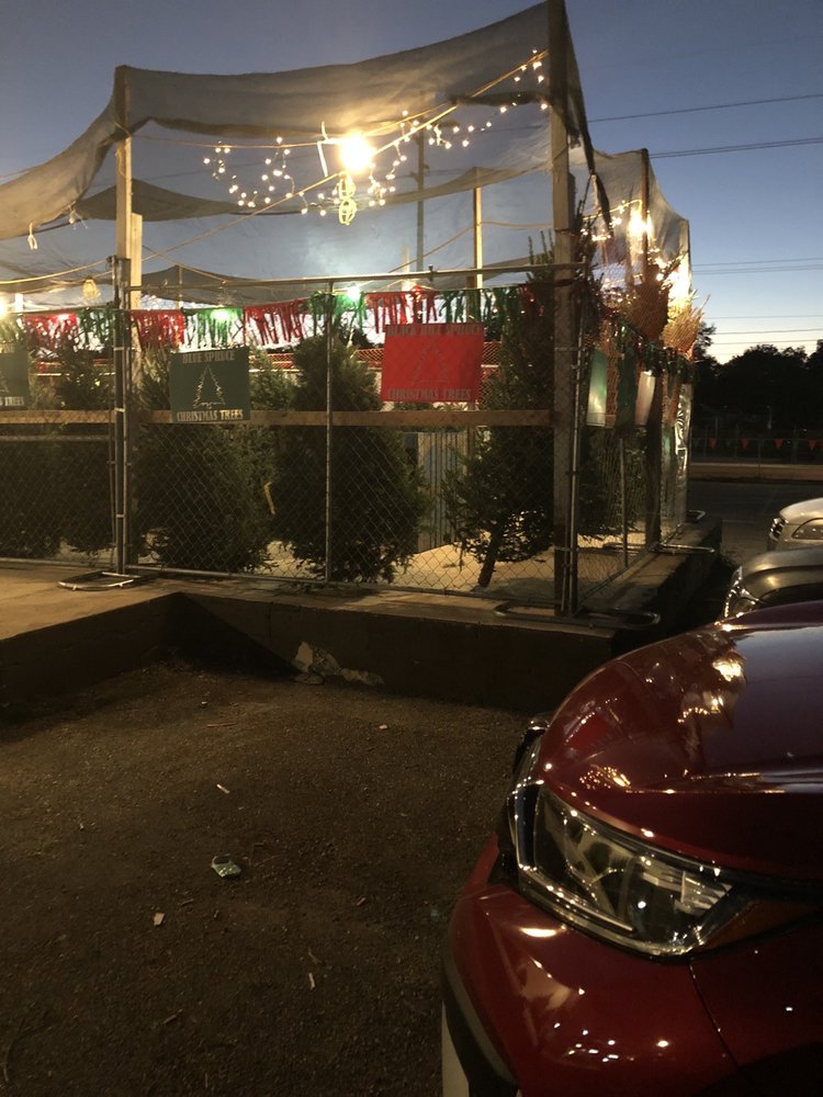 GREAT LAKES CHRISTMAS TREE FARMS Updated August 2024 16 Photos & 11