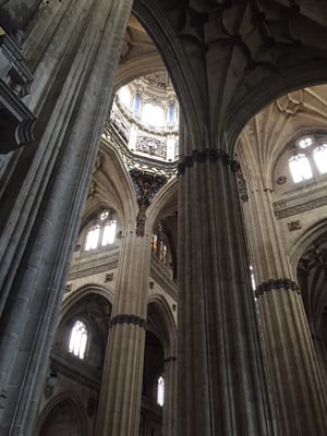 Catedral Vieja de Santa María de la Sede de Salamanca by null