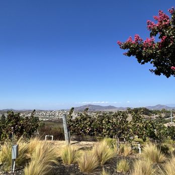 The New Inn - Scenery - Hotels Near Me - Temecula, California The New Inn - Scenery - Hotels Near Me - Temecula, California