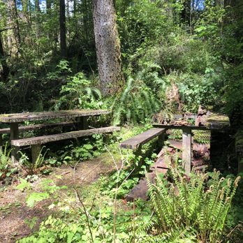 Moulton Falls Regional Park - Tables on the trail between falls...not sure these are being used. ;) - Hiking Near Me - Yacolt, Washington