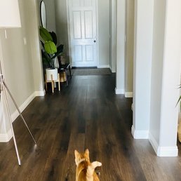 Flooring and interior painting Flooring and interior painting