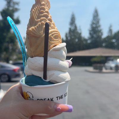 Break the Ice by null