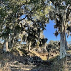 Fort McAllister State Historic Park