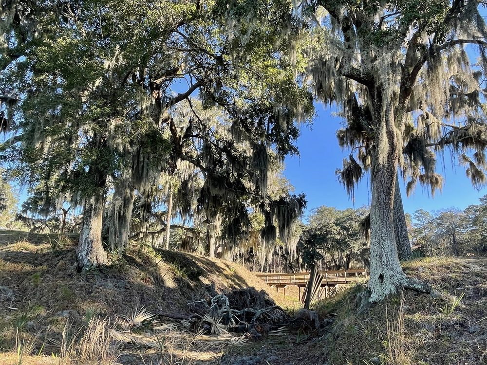 Fort McAllister State Historic Park Image