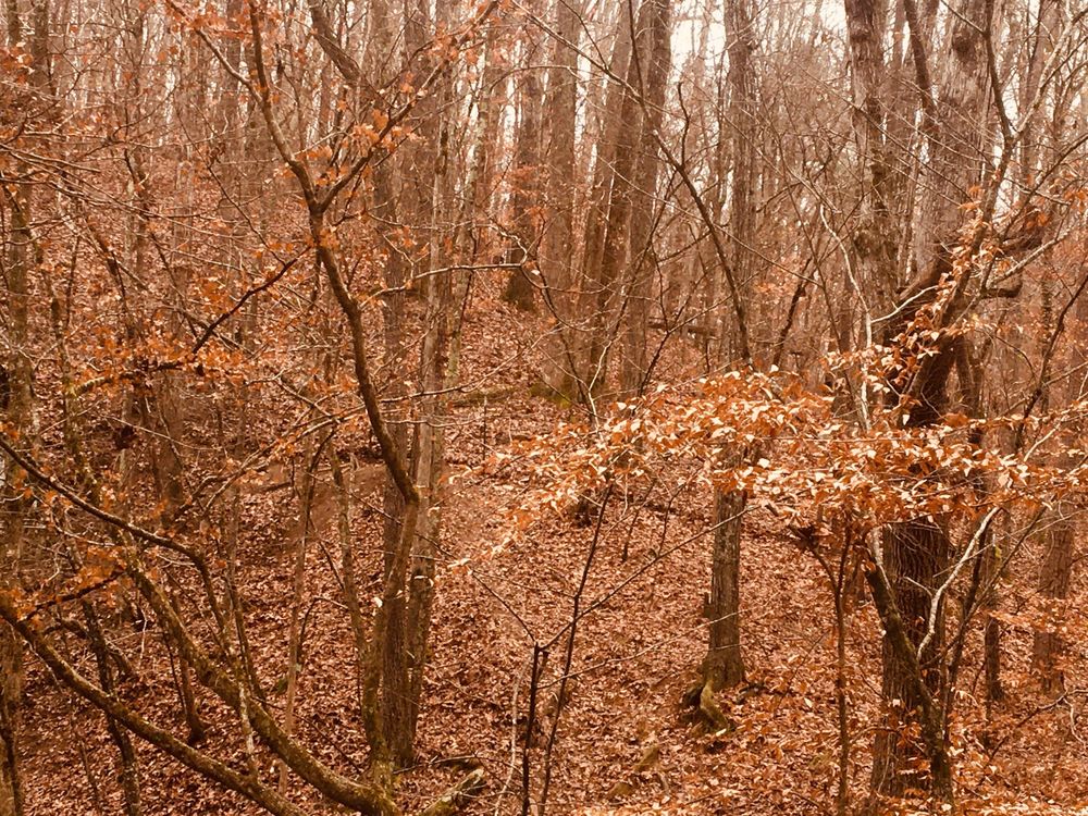 HIGH SHOALS FALLS 28 Photos & 11 Reviews 2030 High Shoals Road