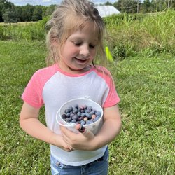 Minka Farm - Small Blueberry bucket