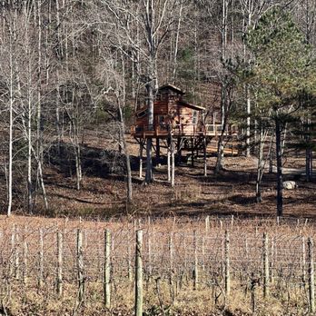 Bear Claw Vineyards - a tree house in the background - Wineries Near Me - Blue Ridge, Georgia Bear Claw Vineyards - a tree house in the background - Wineries Near Me - Blue Ridge, Georgia
