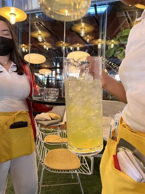 The Standard Plaza by null