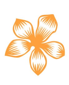 Morristown Holistic Massage Therapy Logo