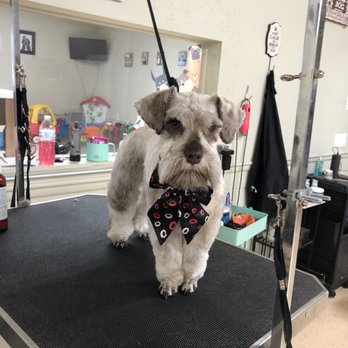 Posh Pets - Pet Groomers Near Me - Richfield, Utah