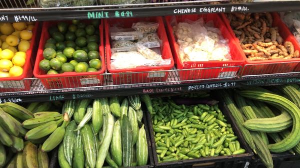 Gandhi Bazar by null