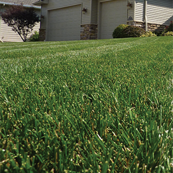 Lawncare Unlimited - Do you desire that perfect lawn for your relaxation and enjoyment? - Tree Services Near Me - Machesney Park, Illinois Lawncare Unlimited - Do you desire that perfect lawn for your relaxation and enjoyment? - Tree Services Near Me - Machesney Park, Illinois