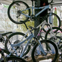 Photo of Delta Bike