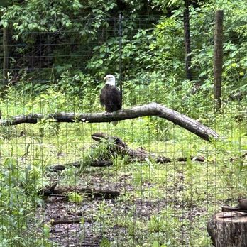 Oglebay Good Zoo - Zoos Near Me - Wheeling, West Virginia