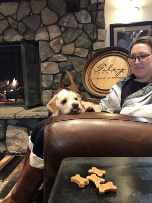 Foley Estates Vineyard & Wine by null