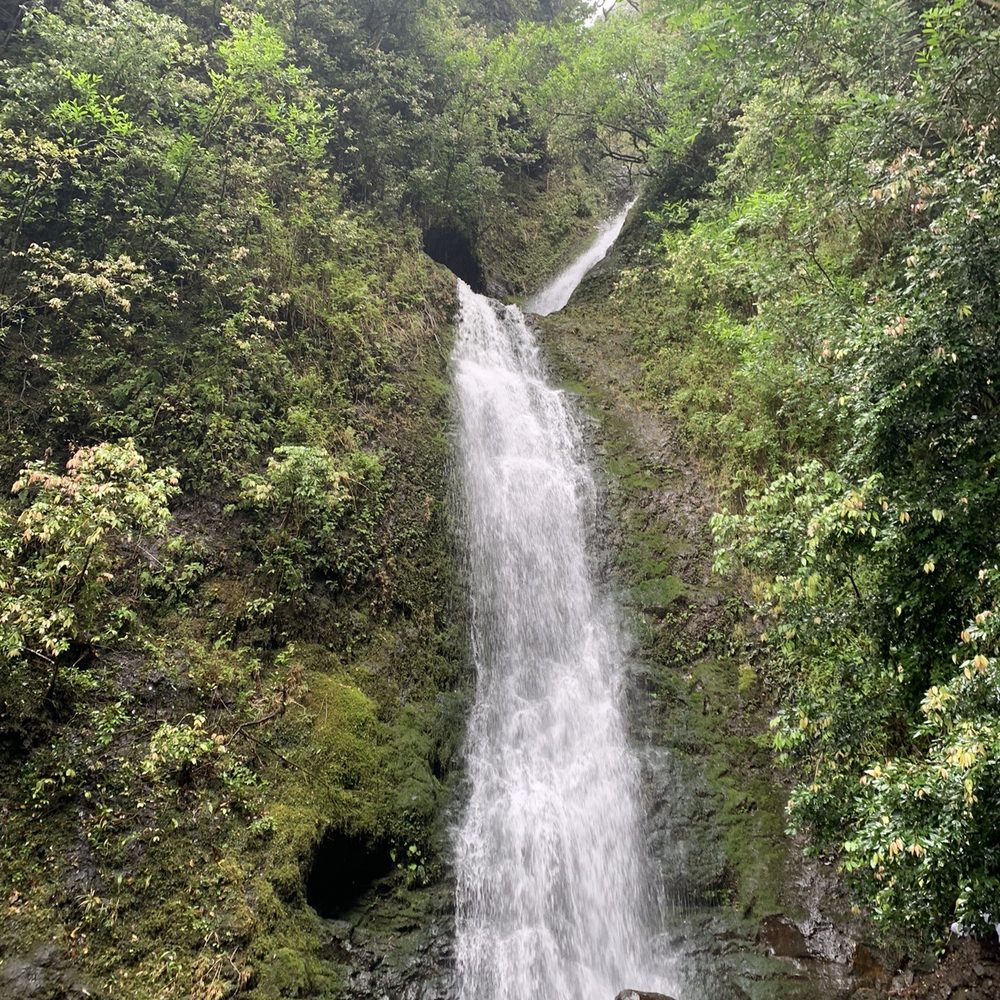Lulumahu Falls - Waterfall - Hiking Near Me - Honolulu, Hawaii Lulumahu Falls - Waterfall - Hiking Near Me - Honolulu, Hawaii