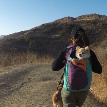 Paradise Falls - wide trails -- appropriate for all ages - Hiking Near Me - Thousand Oaks, California