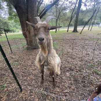 Beasley Farm - Farms Near Me - Brooksville, Florida