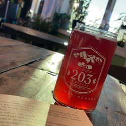 203 Kombucha - Does a better combination exist?! Kombucha, a good book and heavenly winter sunshine!