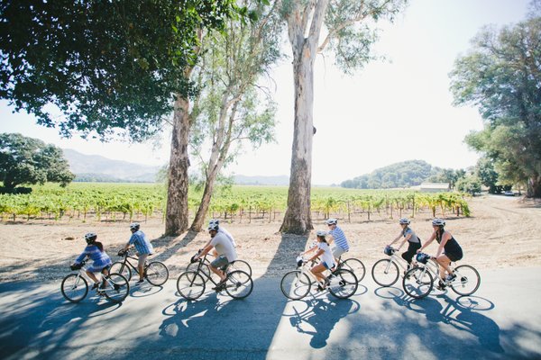 Napa Valley Bike Tours & Rentals by null
