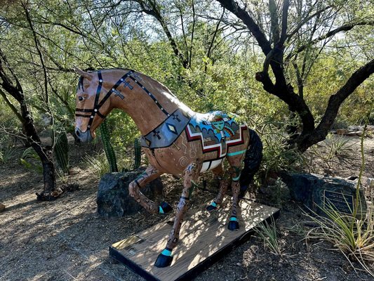 Tucson Botanical Gardens by null