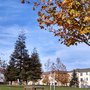 Photo of Greenfield Village