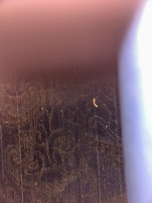 Remedy's Conestoga Way by null