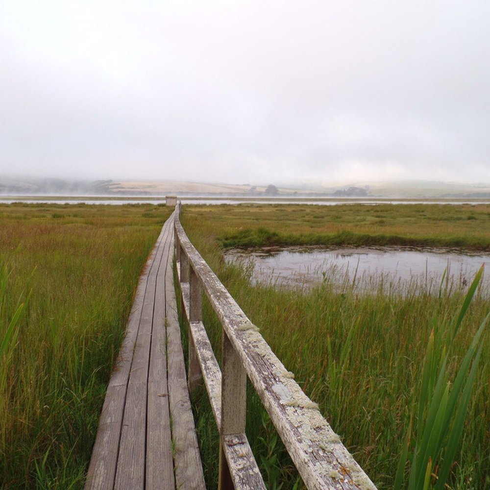 View out into the bay