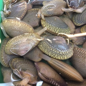 Dampa - Clams with a cool design. - Seafood Markets Near Me - Pasay City, NCR