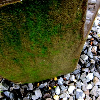 The Noguchi Museum - Art Tours Near Me - Astoria, New York The Noguchi Museum - Art Tours Near Me - Astoria, New York
