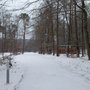 Photo of K1 Waldseilpark
