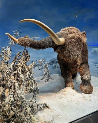 Mashantucket Pequot Museum & Research Center by null