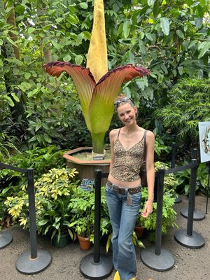 Missouri Botanical Garden by null