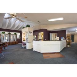 Anastasia Eye Associates