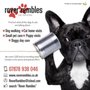 Photo of Rover Rambles Pet Services